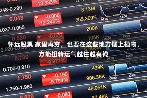 怀远股票 家里再穷，也要在这些地方摆上植物，方能扭转运气越住越有钱